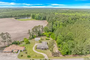 9051 Hwy 917, Nichols, SC 29581 - Photo 40