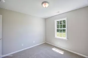 308 Big Tree Ln, Chinquapin, NC 28521 - Photo 18