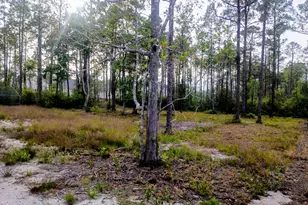 349 Fifty Lakes Dr, Southport, NC 28461 - Photo 8