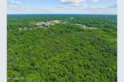 Tbd Buggy Drive W, Carthage, NC 28327 - Photo 6