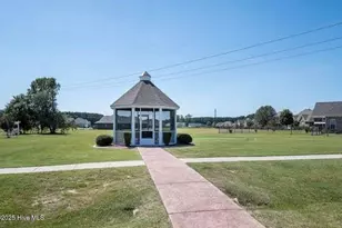 208 S Merganser Dr, Pikeville, NC 27863 - Photo 12