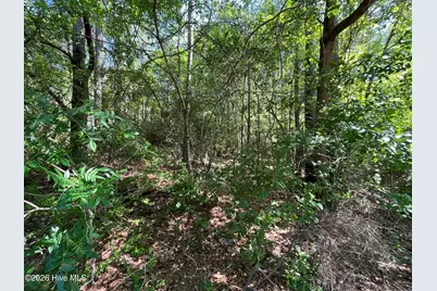 304 Eastman Road, Southern Pines, NC 28387 - Photo 2