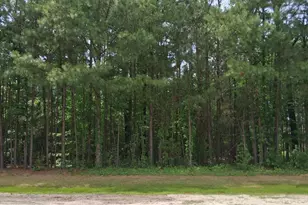 17 Scuppernong River Dr, Hertford, NC 27944 - Photo 1