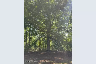 503 Castleton Drive, Hertford, NC 27944 - Photo 74