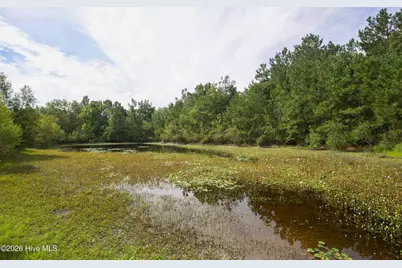 270 Morrison Bridge Road, Vass, NC 28394 - Photo 46