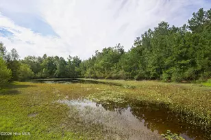 270 Morrison Bridge Rd, Vass, NC 28394 - Photo 46
