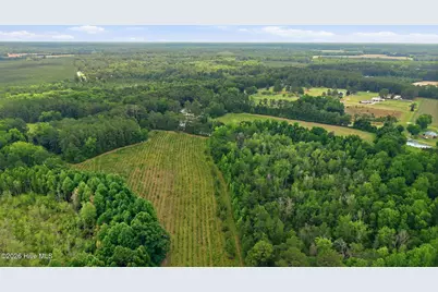 17060 Saint Johns Church Road, Laurel Hill, NC 28351 - Photo 54