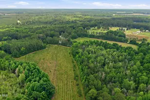 17060 St Johns Church Rd, Laurel Hill, NC 28351 - Photo 54