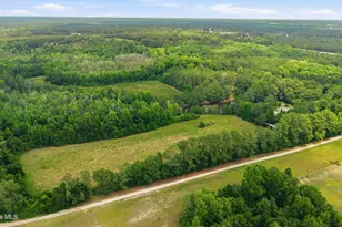 17060 St Johns Church Rd, Laurel Hill, NC 28351 - Photo 50