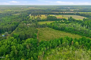 17060 St Johns Church Rd, Laurel Hill, NC 28351 - Photo 56