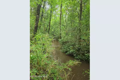 480 Mount Pleasant Road, Monetta, SC 29105 - Photo 12