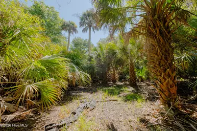4 Gray Fox Court, Bald Head Island, NC 28461 - Photo 6