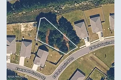 1504 E Black Squirrel Lane, Bolivia, NC 28422 - Photo 1
