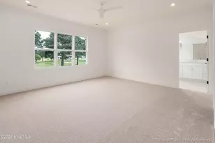 168 Pine Tree Point, Snow Hill, NC 28580 - Photo 22