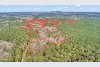 Lot 4 Saggus Road, Washington, GA 30673 - Photo 18