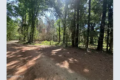 Lot 4 Saggus Road, Washington, GA 30673 - Photo 1