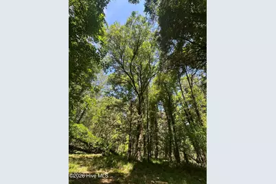 Lot 4 Saggus Road, Washington, GA 30673 - Photo 12