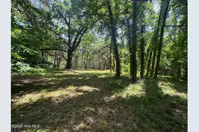 Lot 4 Saggus Road, Washington, GA 30673 - Photo 6