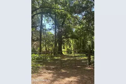 Lot 4 Saggus Road, Washington, GA 30673 - Photo 2