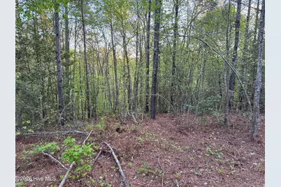 0 Cartledge Creek Road, Rockingham, NC 28379 - Photo 26