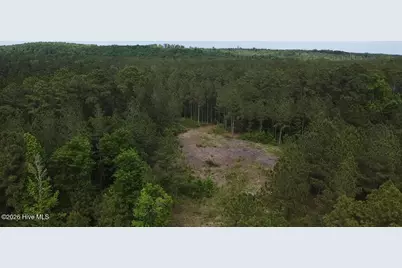 0 Cartledge Creek Road, Rockingham, NC 28379 - Photo 8