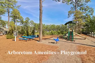 350 Wiregrass Ln, Southern Pines, NC 28387 - Photo 76
