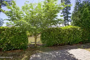 350 Wiregrass Ln, Southern Pines, NC 28387 - Photo 60