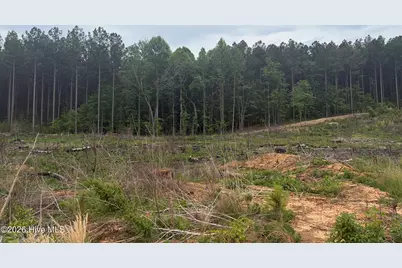 Tbd Tarry Church Road, Star, NC 27356 - Photo 4