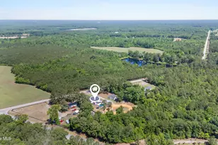 4201 Needmore Rd, Turkey, NC 28393 - Photo 42