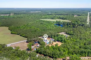 4201 Needmore Rd, Turkey, NC 28393 - Photo 44