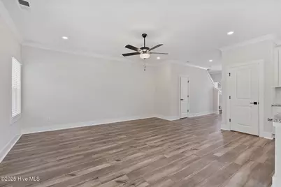123 S Umbrella Palm Drive, Hampstead, NC 28443 - Photo 4