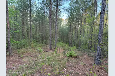 0 Cartledge Creek Road, Rockingham, NC 28379 - Photo 28