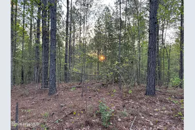 0 Cartledge Creek Road, Rockingham, NC 28379 - Photo 32