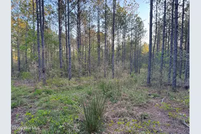 0 Cartledge Creek Road, Rockingham, NC 28379 - Photo 30