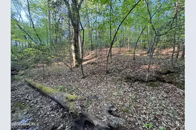 0 Cartledge Creek Road, Rockingham, NC 28379 - Photo 20