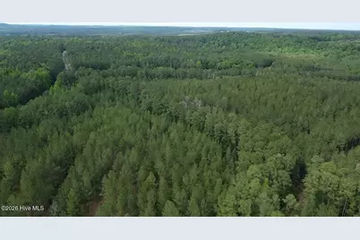 0 Cartledge Creek Road, Rockingham, NC 28379 - Photo 6