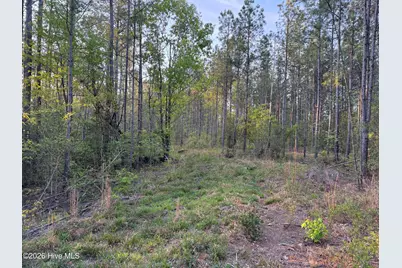 0 Cartledge Creek Road, Rockingham, NC 28379 - Photo 22