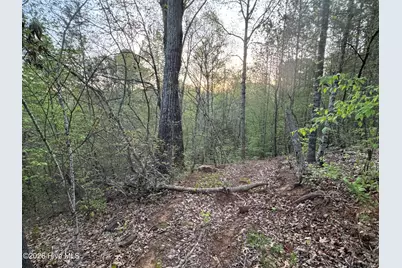 0 Cartledge Creek Road, Rockingham, NC 28379 - Photo 30