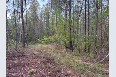 0 Cartledge Creek Road, Rockingham, NC 28379 - Photo 28