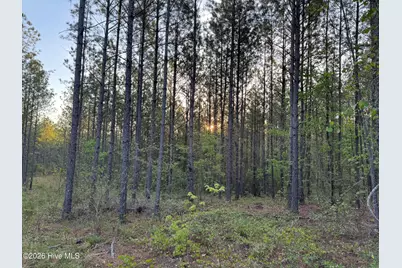 0 Cartledge Creek Road, Rockingham, NC 28379 - Photo 24