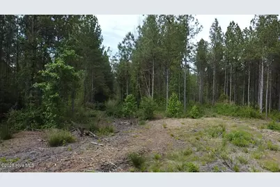 0 Cartledge Creek Road, Rockingham, NC 28379 - Photo 32