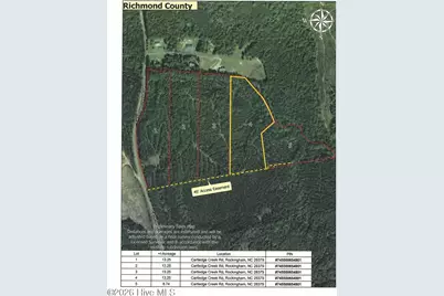 0 Cartledge Creek Road, Rockingham, NC 28379 - Photo 2