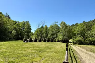 1038 Blackburn Hollow Rd, Purlear, NC 28665 - Photo 28