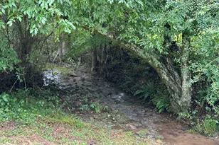 1038 Blackburn Hollow Rd, Purlear, NC 28665 - Photo 40