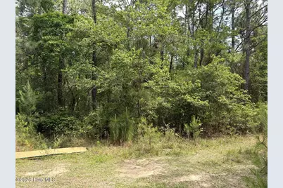 L 113 Chimney Swift Lane SE, Southport, NC 28461 - Photo 6