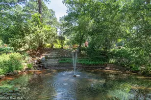 60 Woodenbridge Ln, Pinehurst, NC 28374 - Photo 66