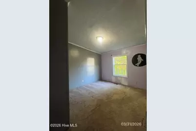 210 Haws Run Road, Jacksonville, NC 28540 - Photo 18