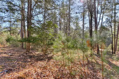 109 Driftwood Lane, McCormick, SC 29835 - Photo 32
