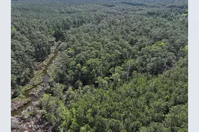 499 Tar Creek Road, Oriental, NC 28571 - Photo 6
