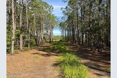 499 Tar Creek Road, Oriental, NC 28571 - Photo 16